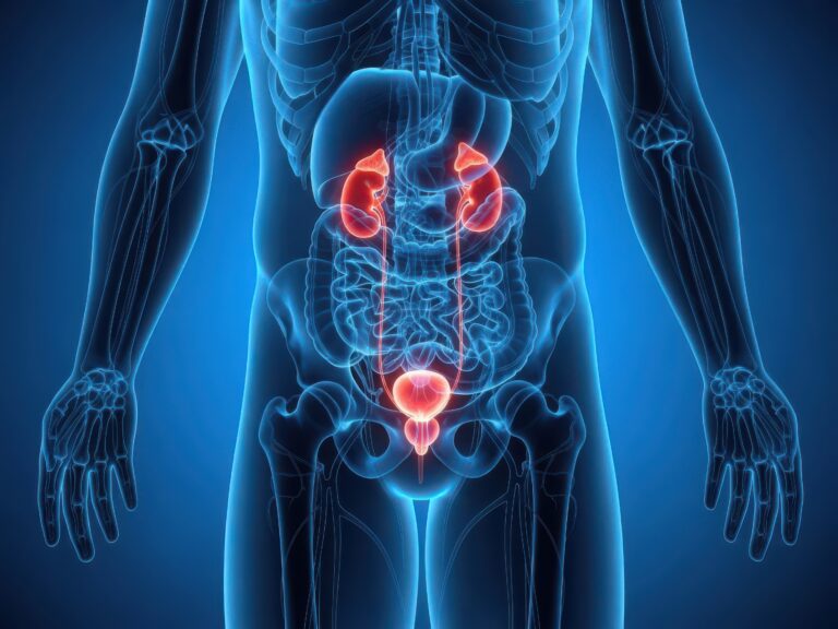 Beitragsbild für Urologie